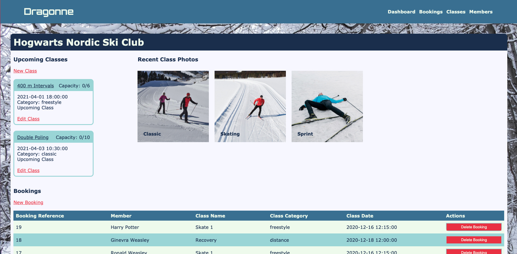 Project screenshot
